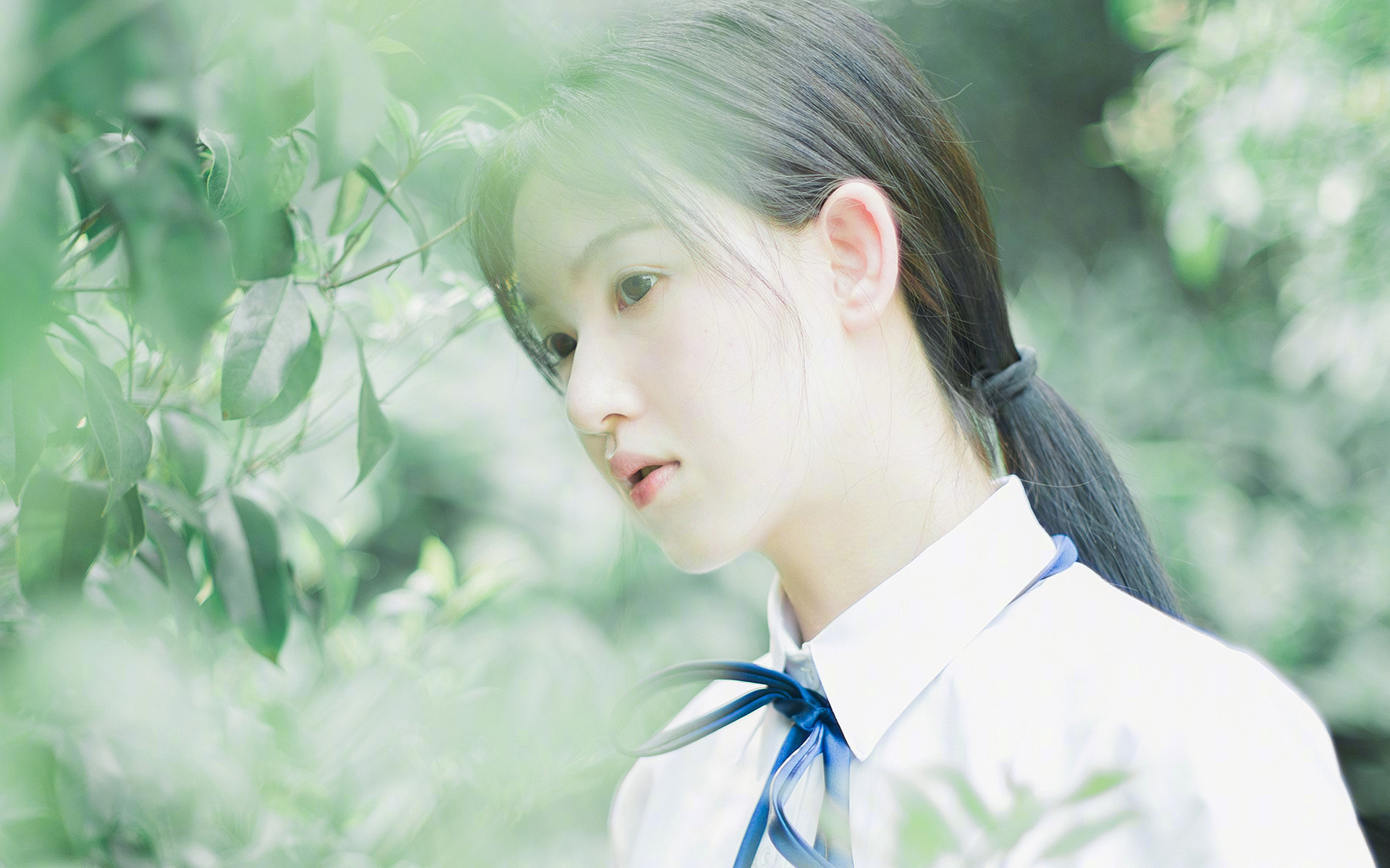 意大利马术协会引入智能马鞍系统，实现实时数据监测与分析，提升骑乘体验。